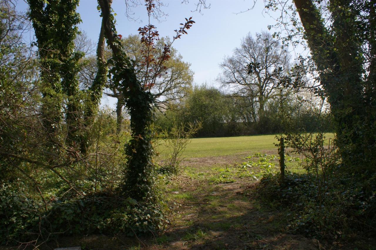 Spacious 4 Bed Family Cottage In Parkland Setting York Extérieur photo